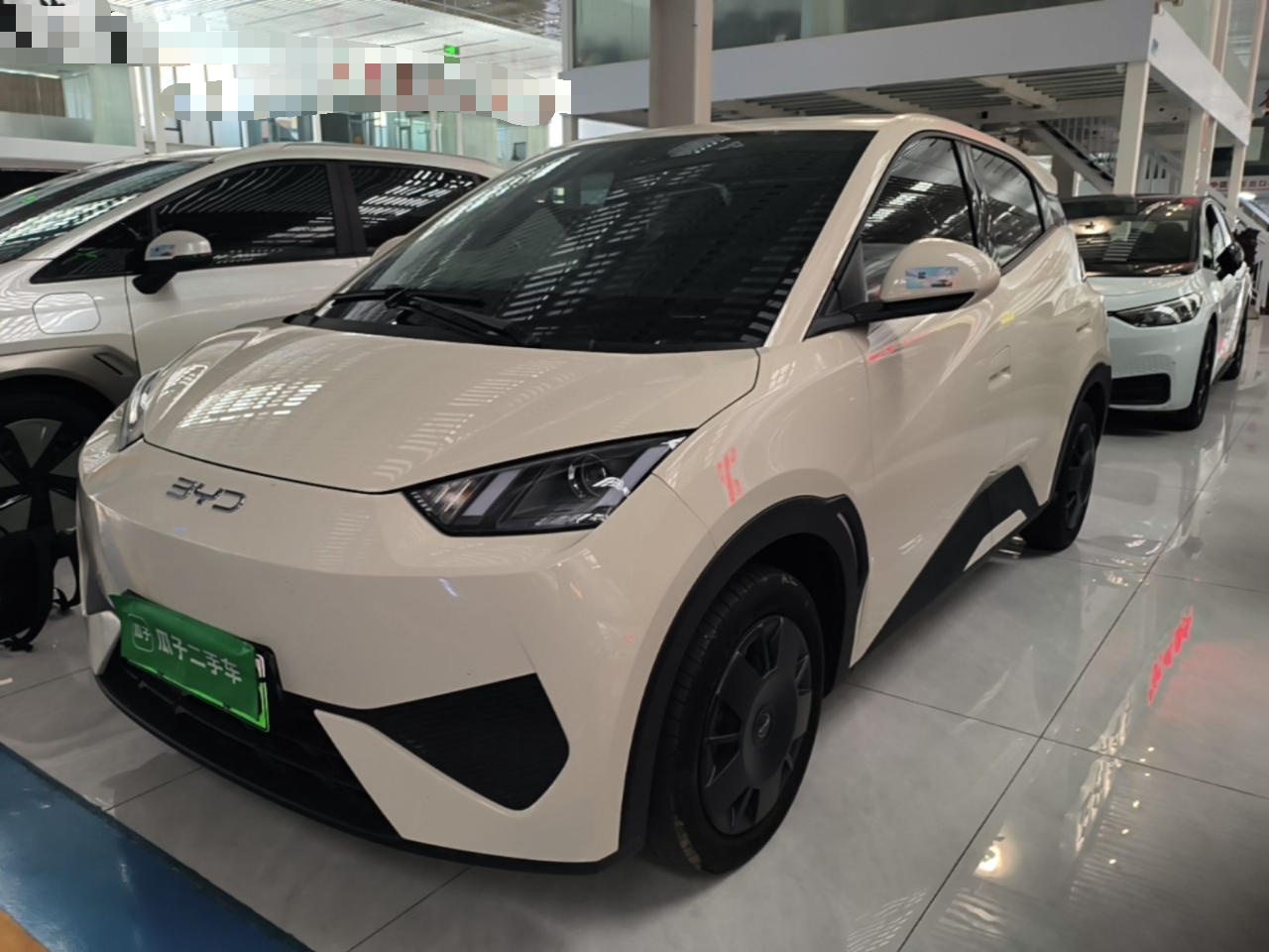 Seagull 2025 ADAS 305km