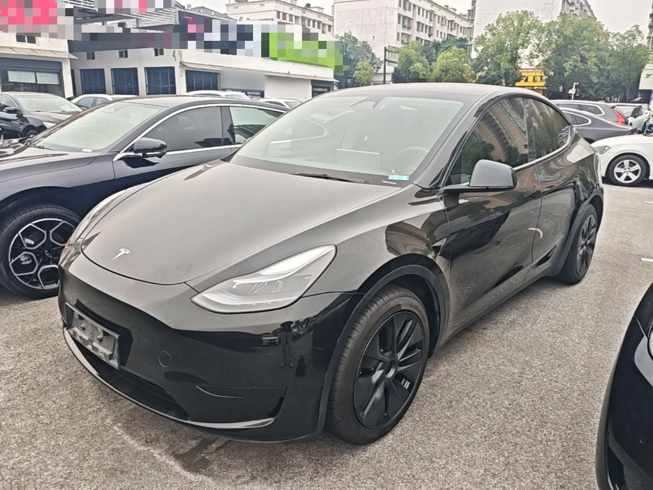 Model Y 2024 RWD