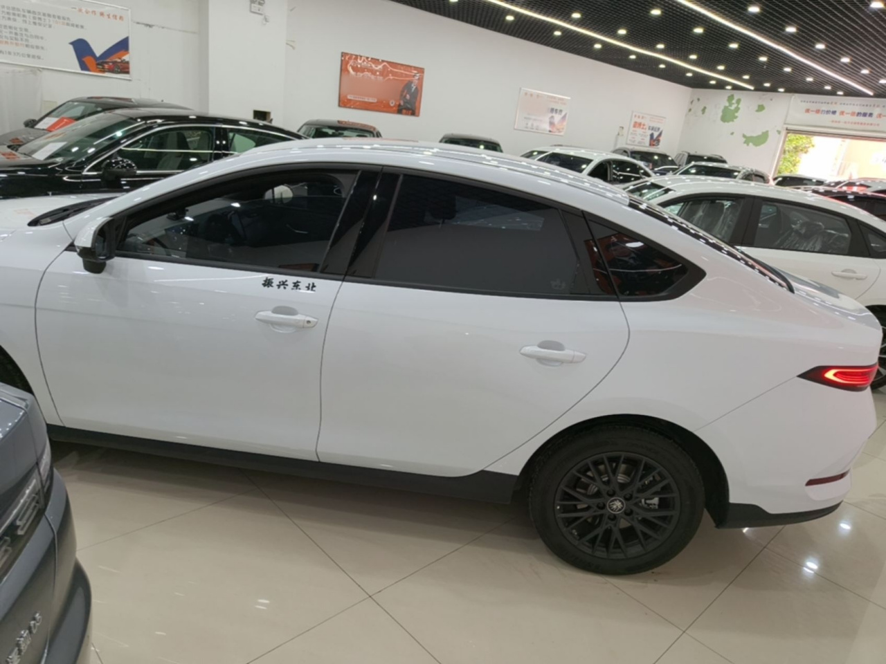 Qin PLUS 2025 EV ADAS 510KM Progressive photo 4