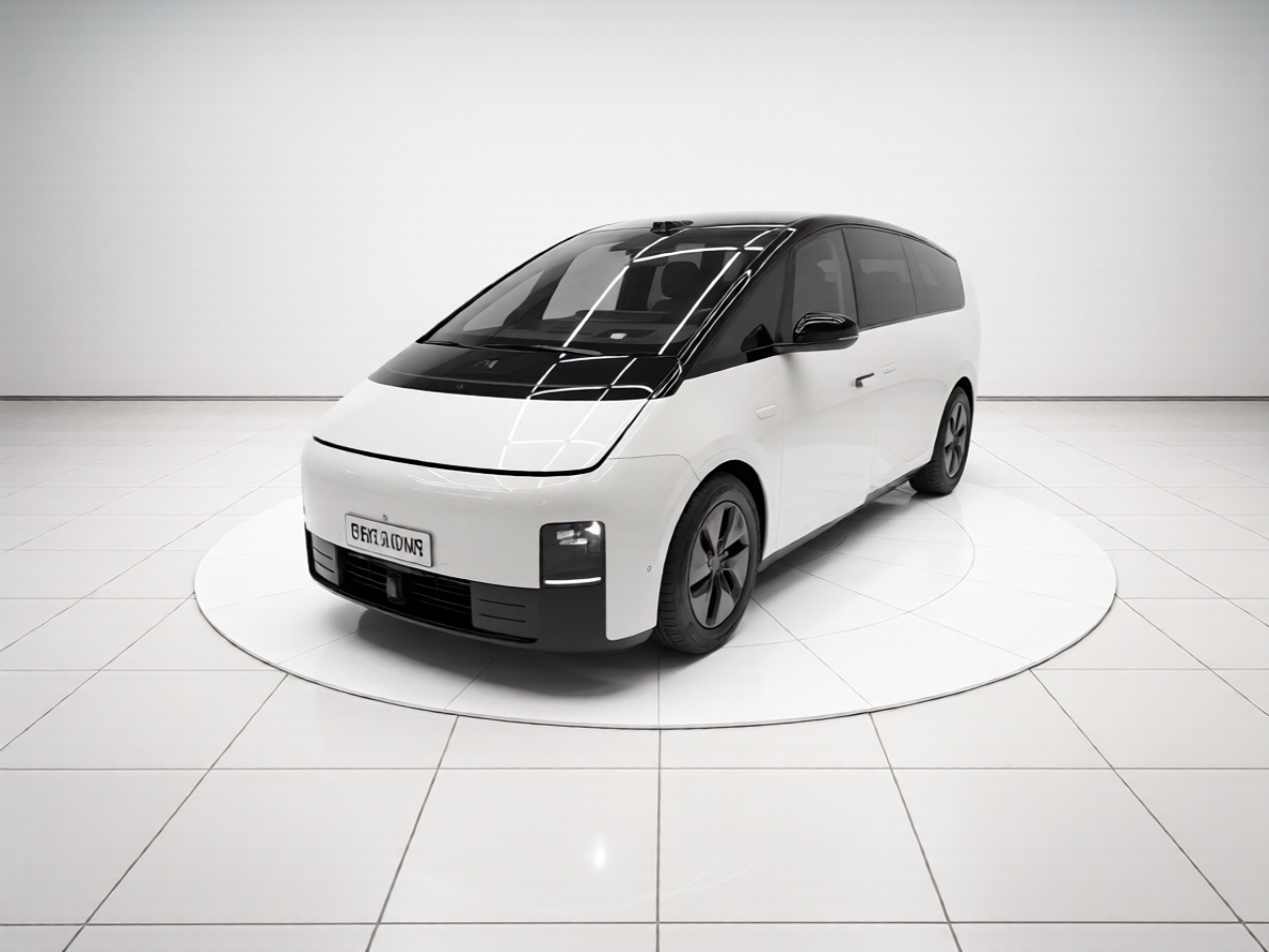 Li MEGA 2025 Home Family Special