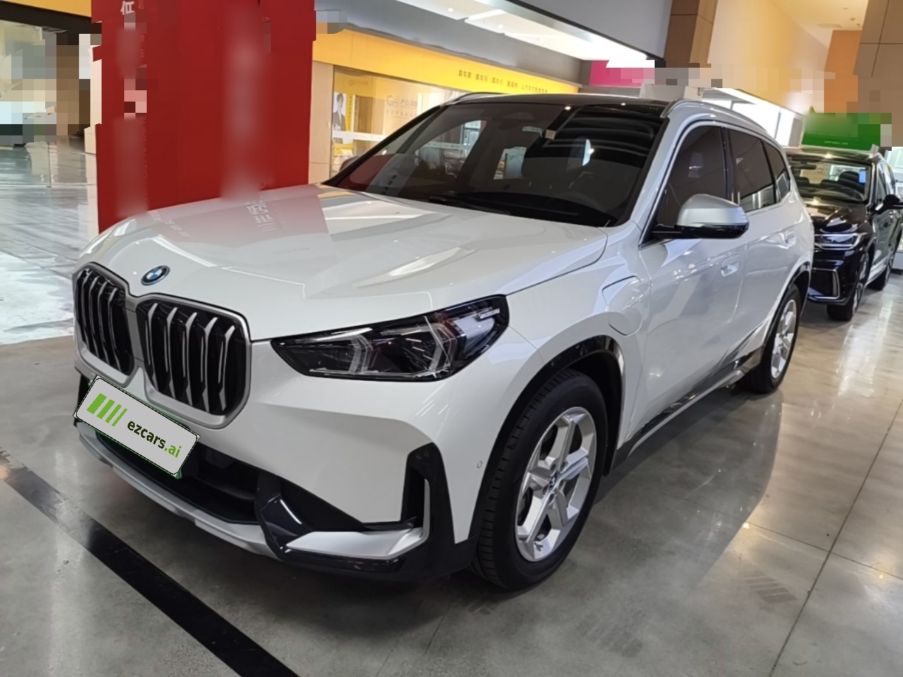 iX1 2023 eDrive25L X Design Package