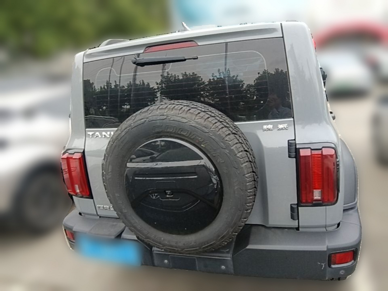 300 2021 Off-road 2.0T Conqueror photo 5