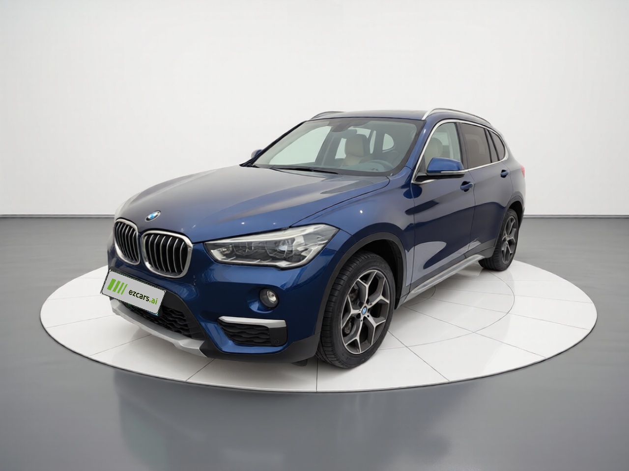 X1 2018 xDrive20Li Luxury