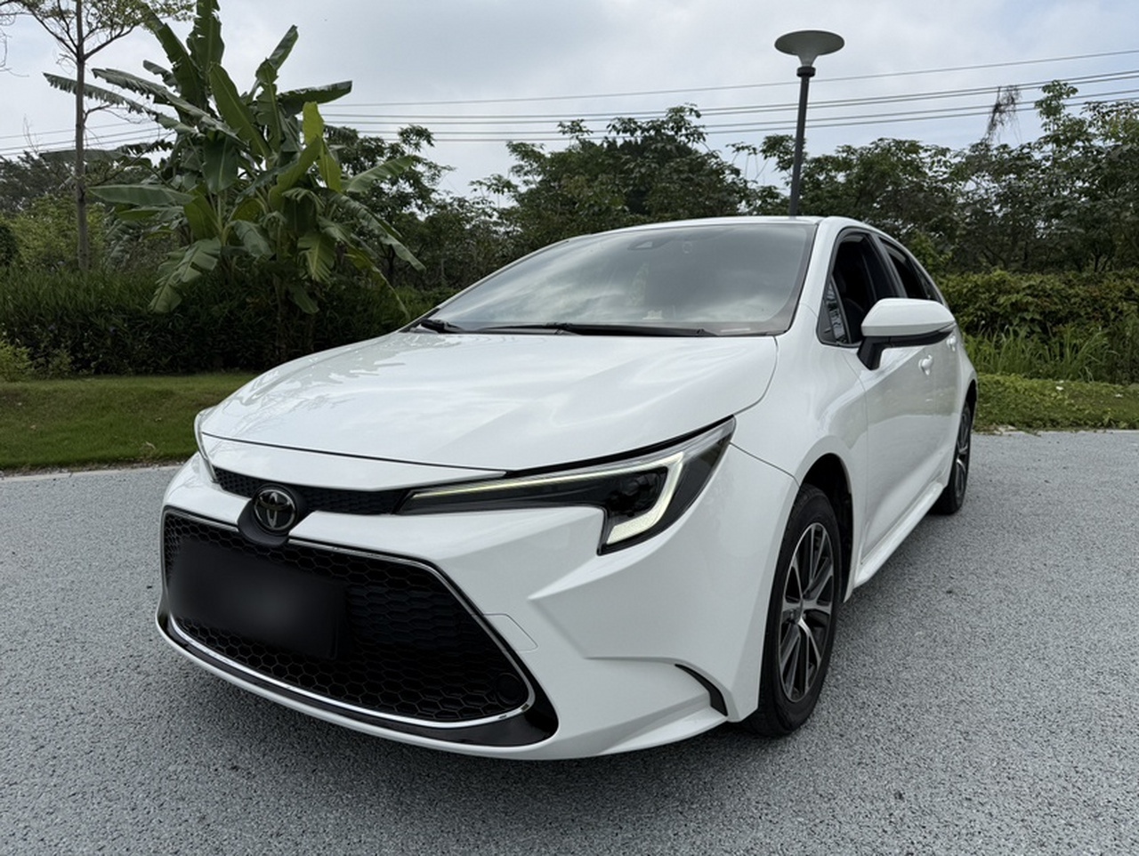 Levin 2023 185T CVT Luxury