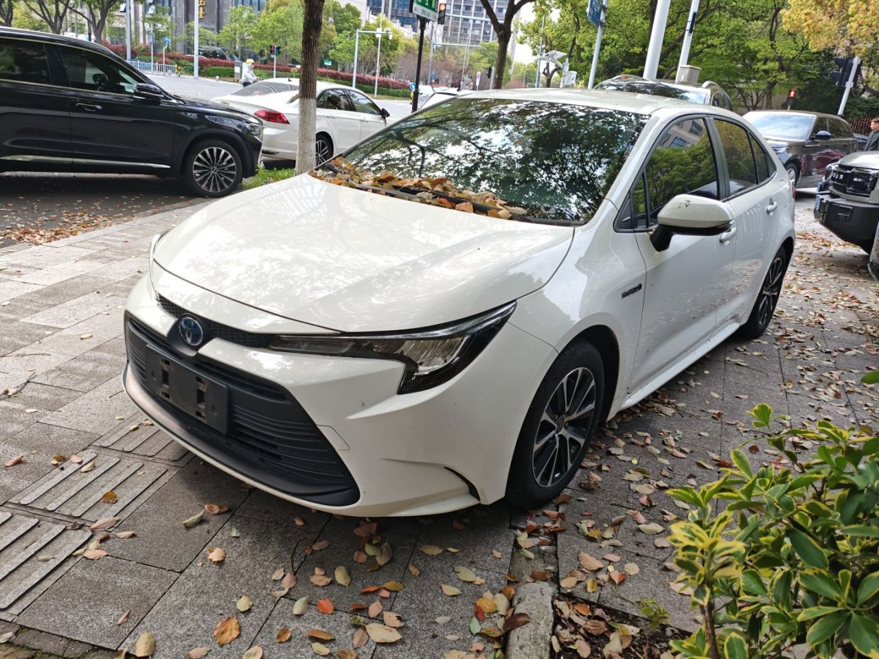Levin 2023 Smart Hybrid 1.8L Leading