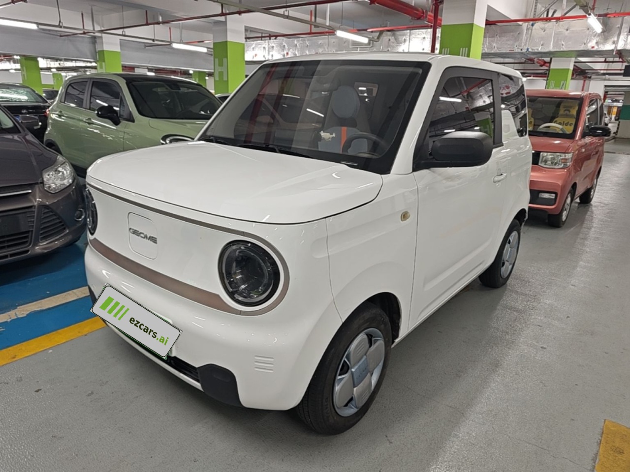 2023 Panda mini 200km Endurance Bear