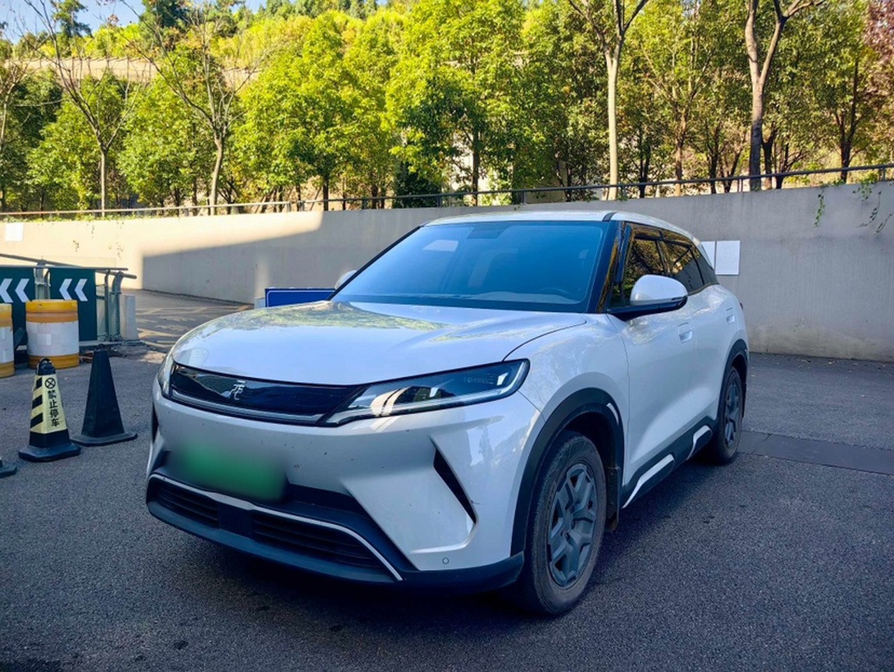 Yuan UP 2025 301KM Pilot