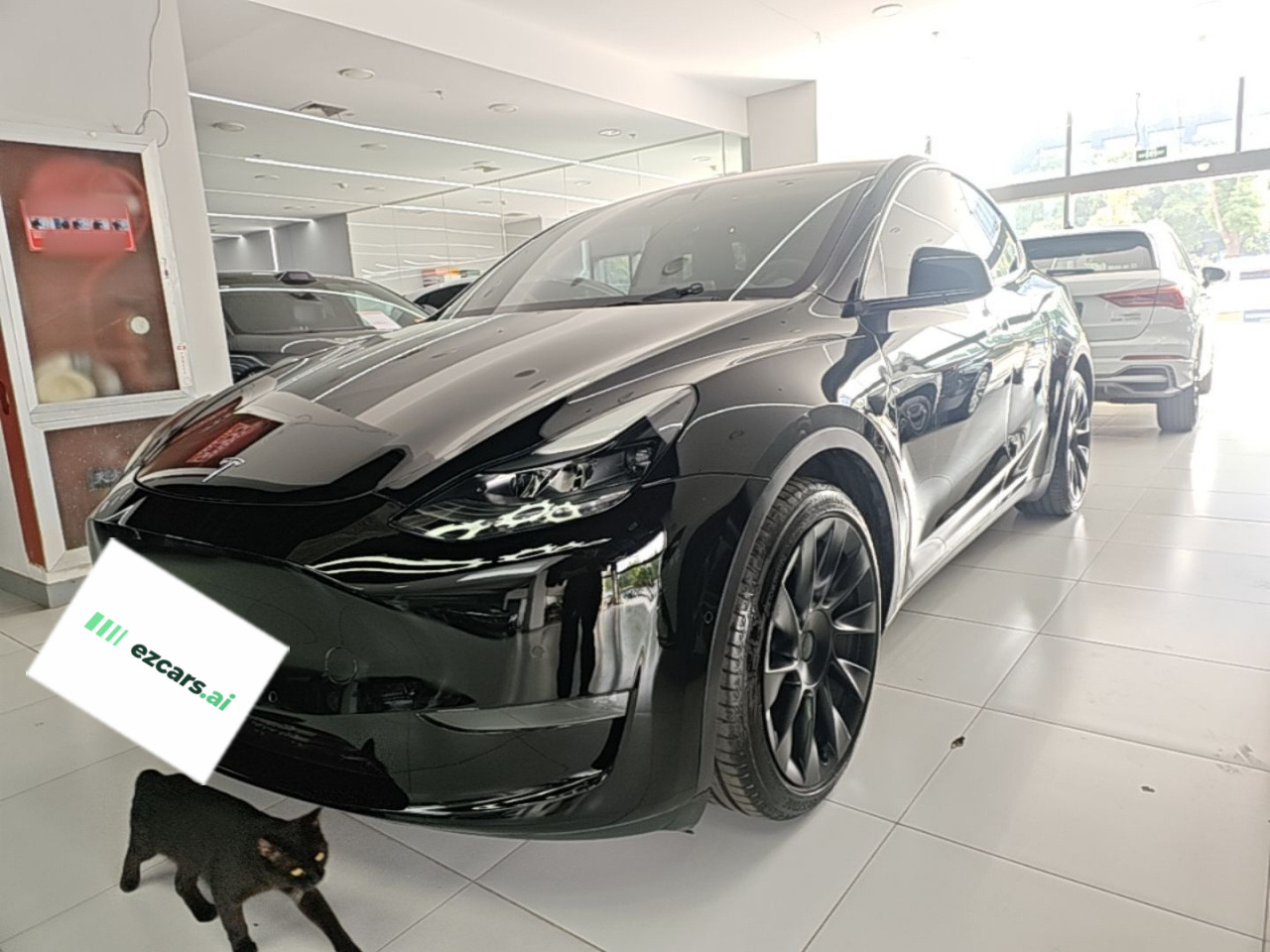 Model Y 2021 Standard Range RWD