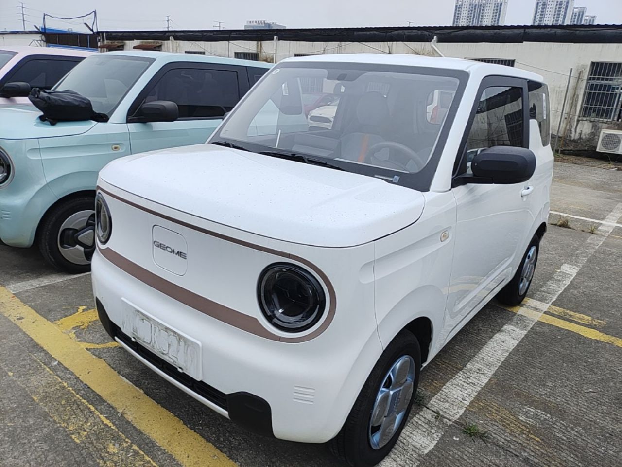 2023 Panda mini 200km Endurance Bear