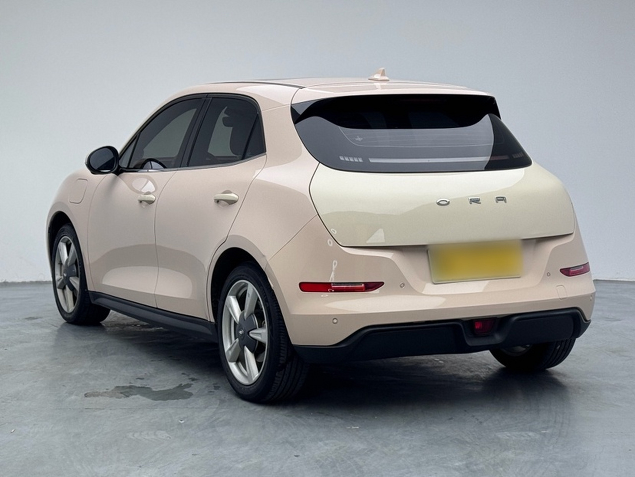 Good Cat 2022 400km Standard Range Premium LFP photo 3