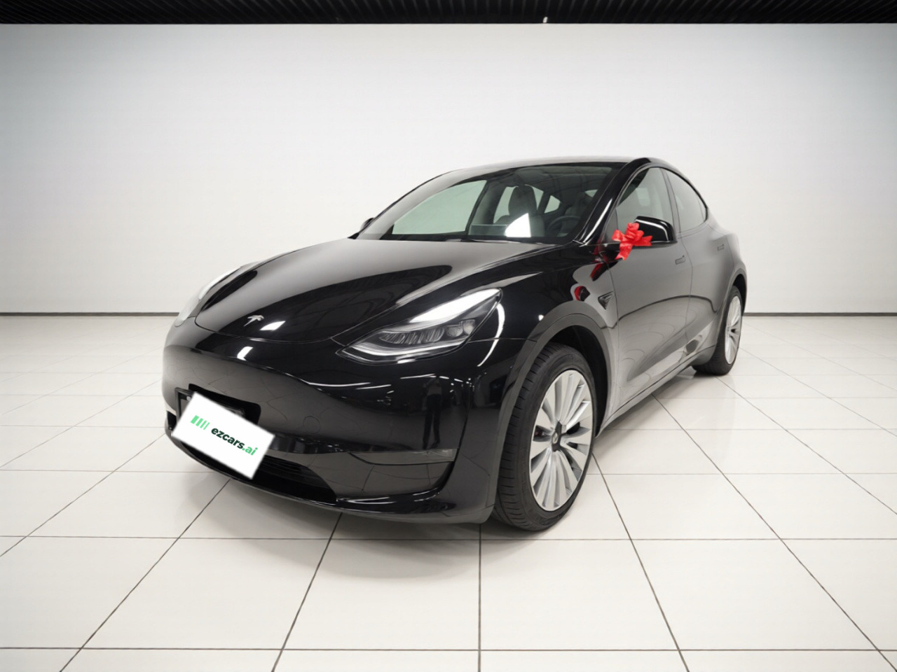 Model Y 2021 Standard Range RWD