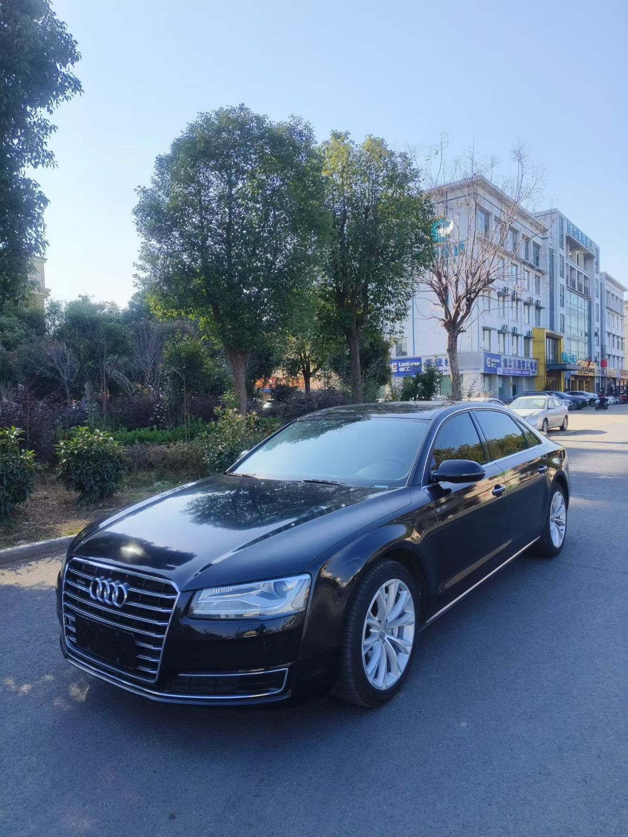 A8 2013 A8L 45 TFSI quattro Comfort photo 4