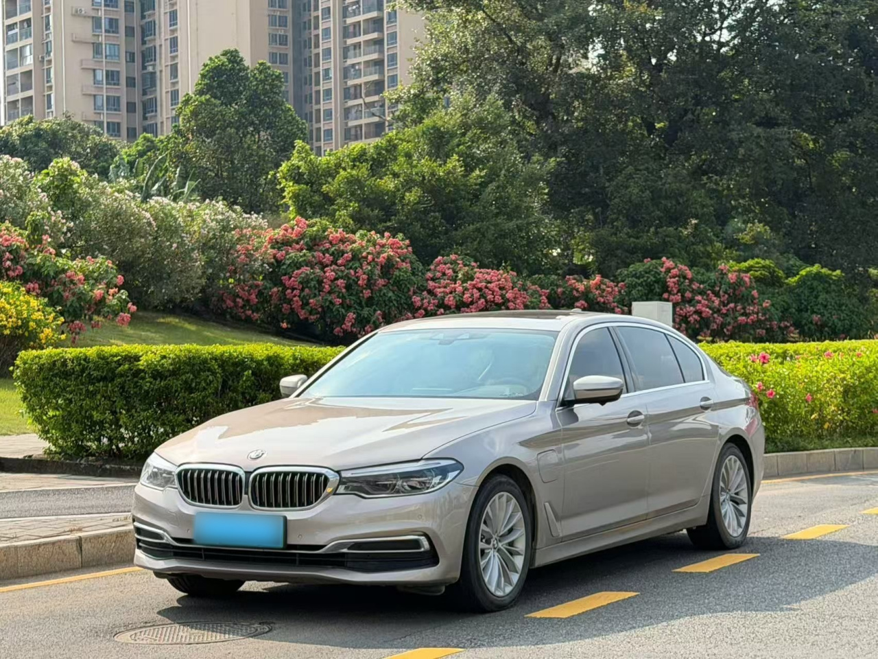5 Series EV 2020 530Le Luxury