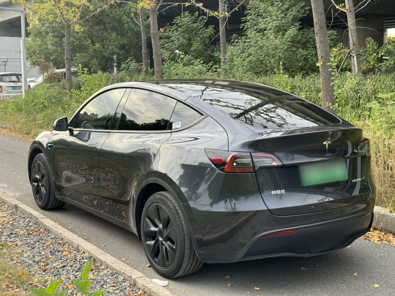 Model Y 2024 RWD photo 4