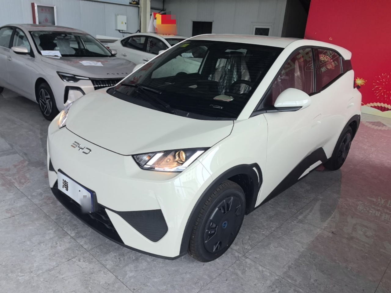 Seagull 2025 ADAS 305km