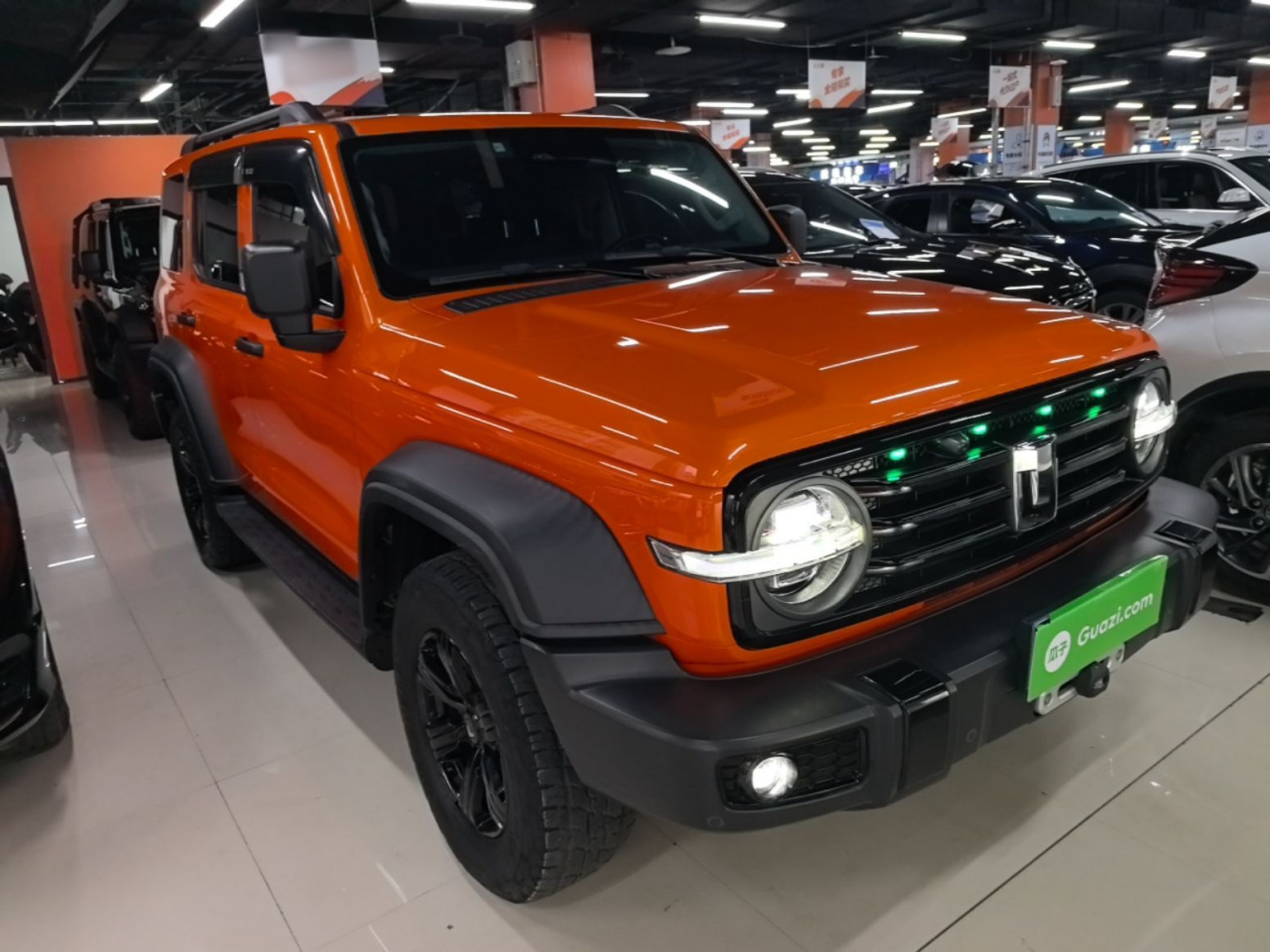 300 2021 Off-road 2.0T Conqueror photo 5