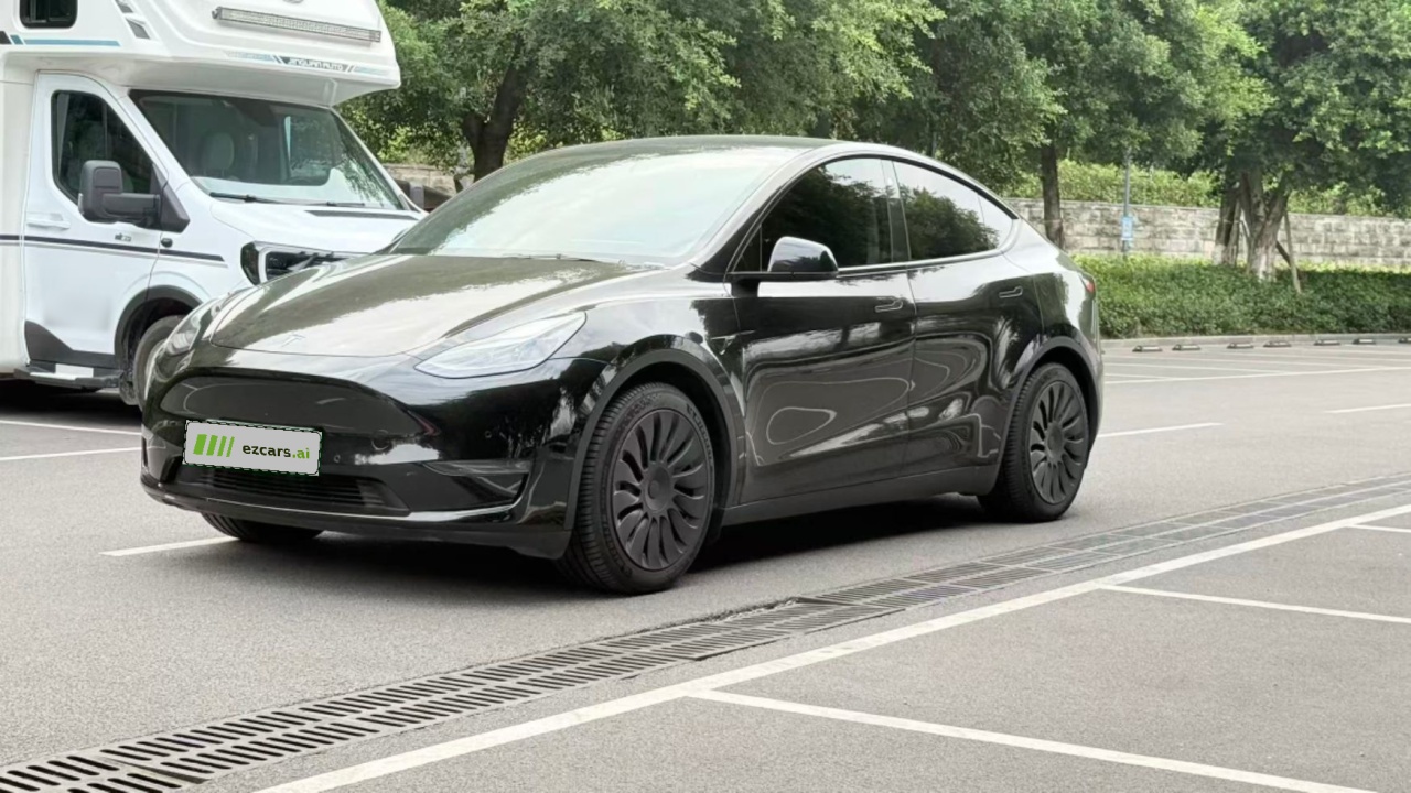 Model Y 2021 Standard Range RWD