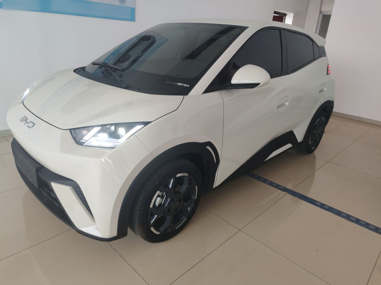 Seagull 2025 305km