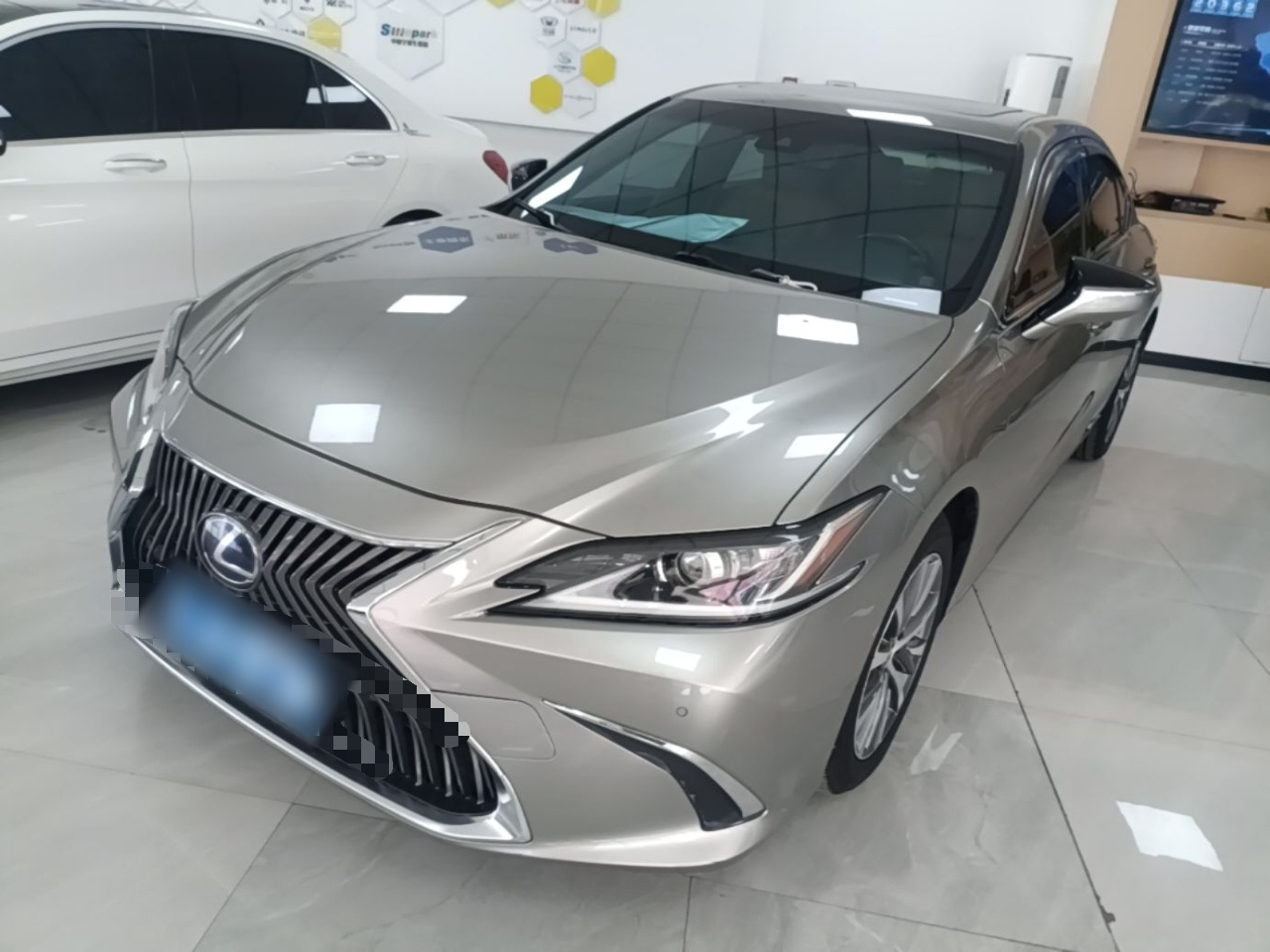 ES 2018 300h Excellence China V