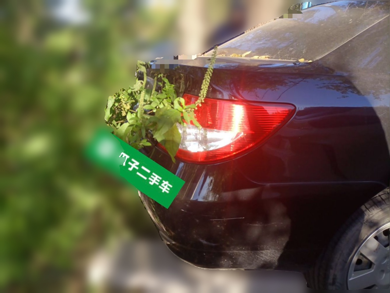 F3 2020 1.5L MT Classic photo 4