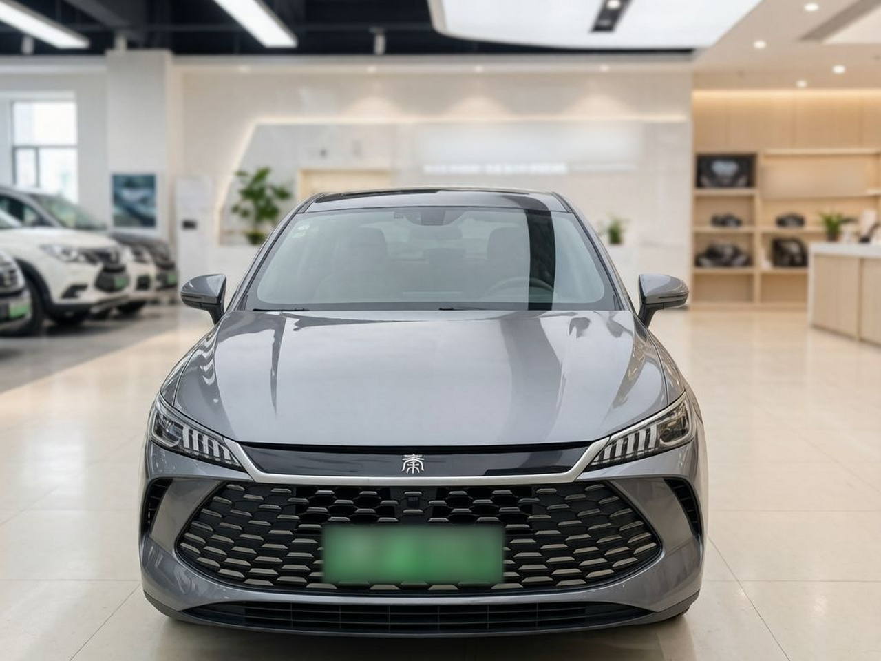 Qin PLUS 2025 DM-i ADAS 55KM Leading photo 4