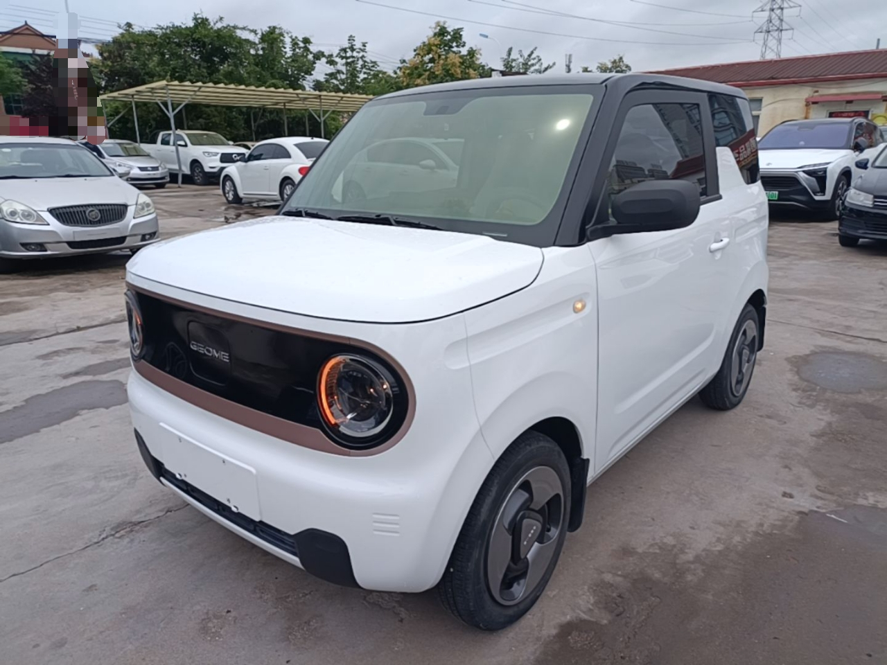 2023 Panda mini