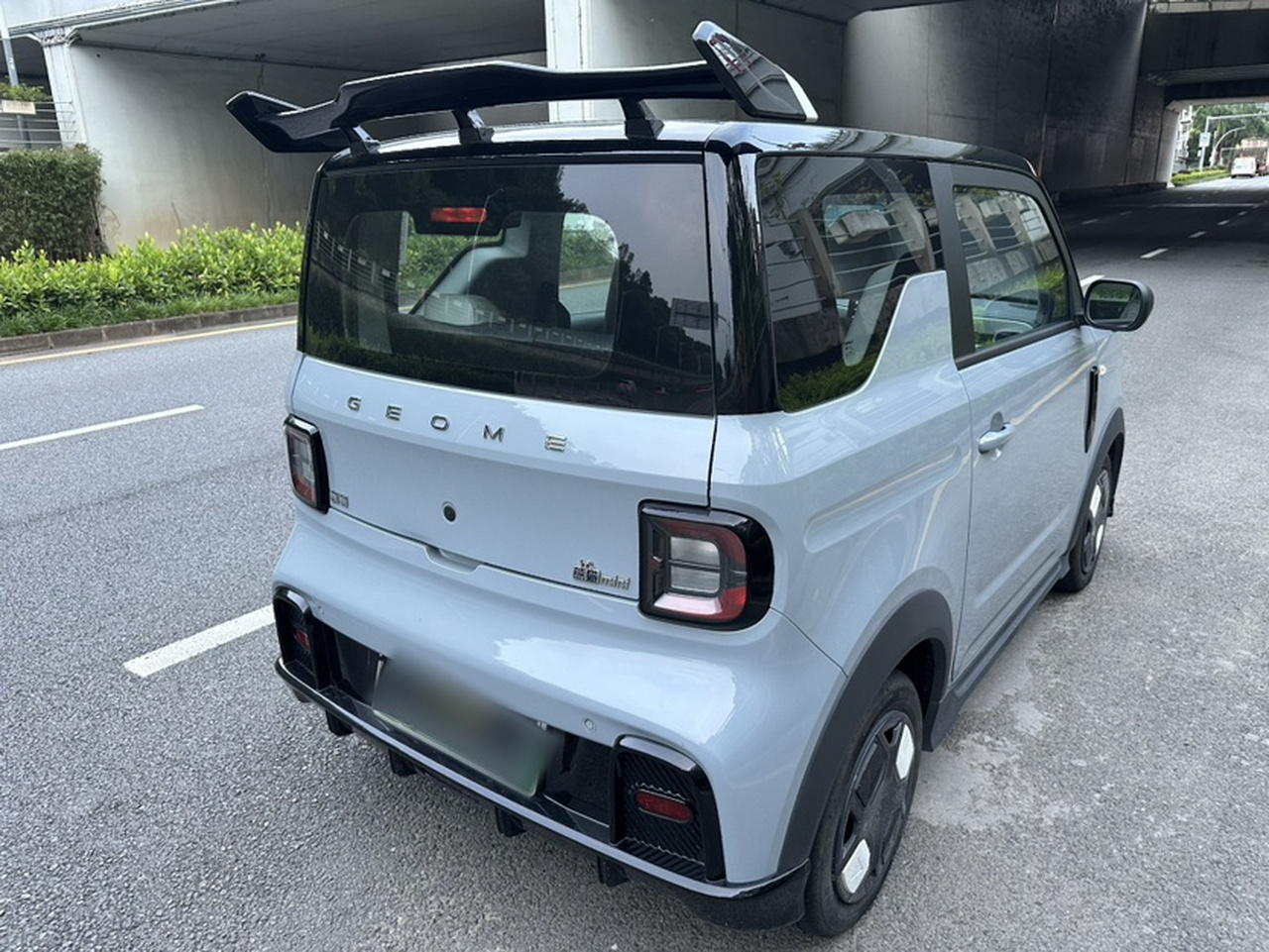 2025 210km Panda photo 4
