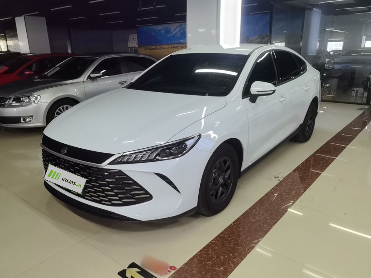 Qin PLUS 2025 DM-i ADAS 55KM Leading
