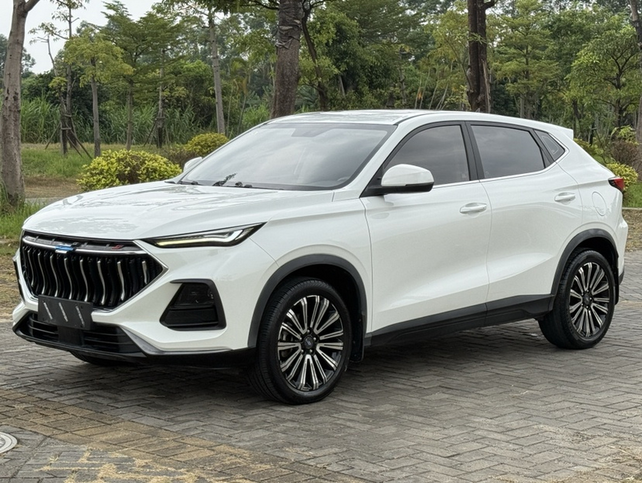 X5 2021 1.5T DCT Luxury