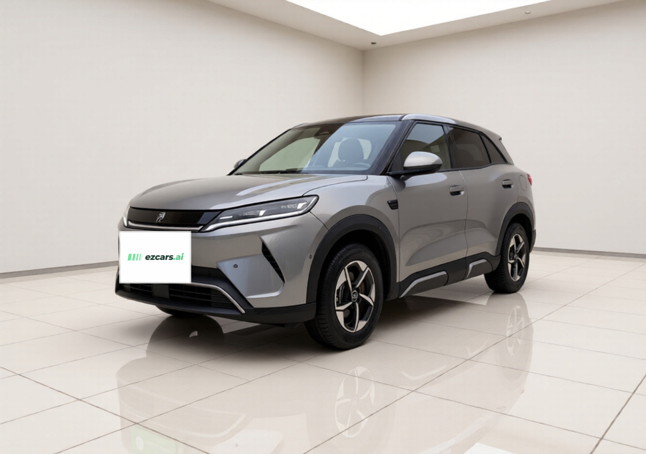 Yuan UP 2025 ADAS 401KM Leading