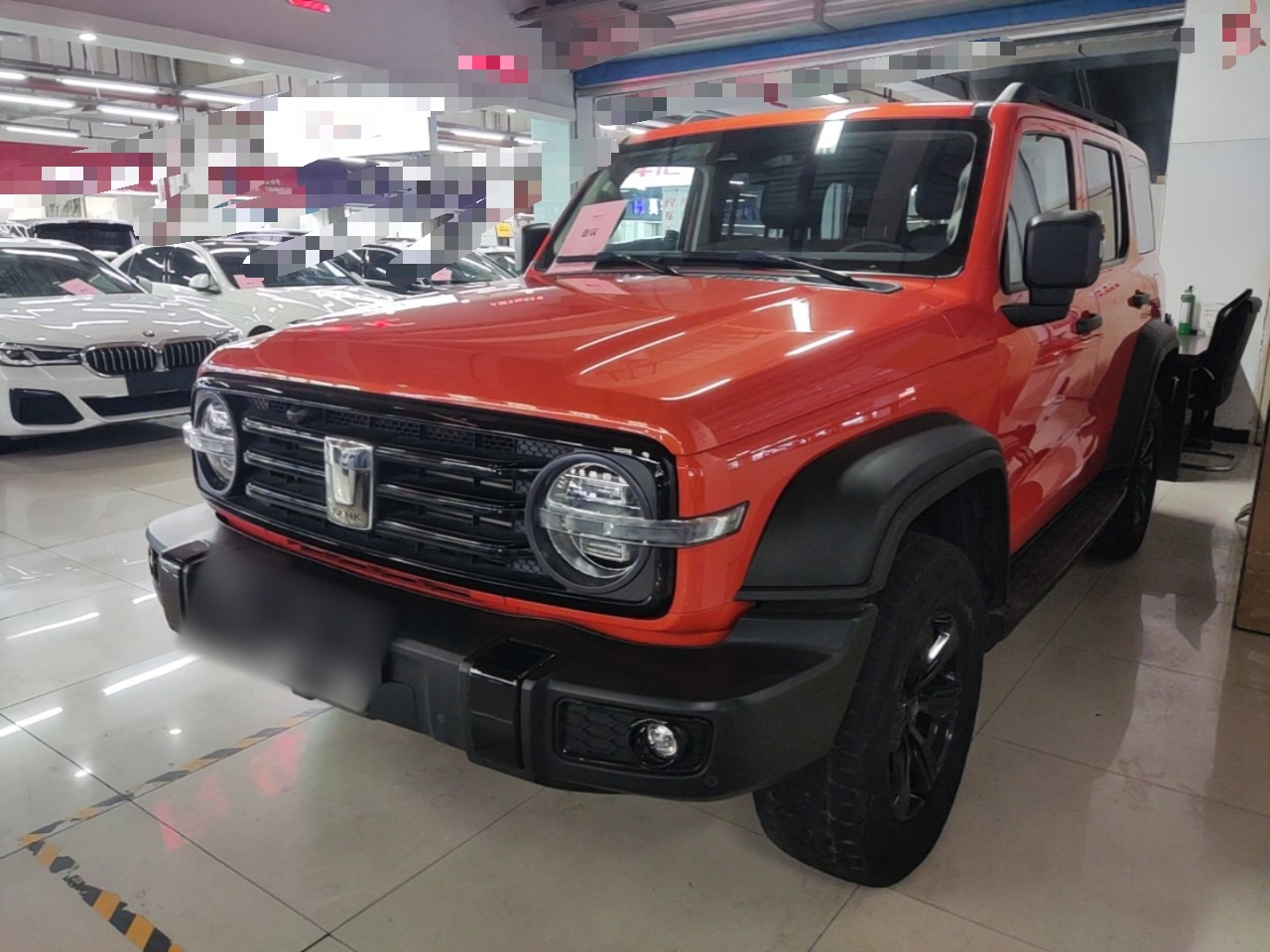 300 2021 Off-road 2.0T Conqueror