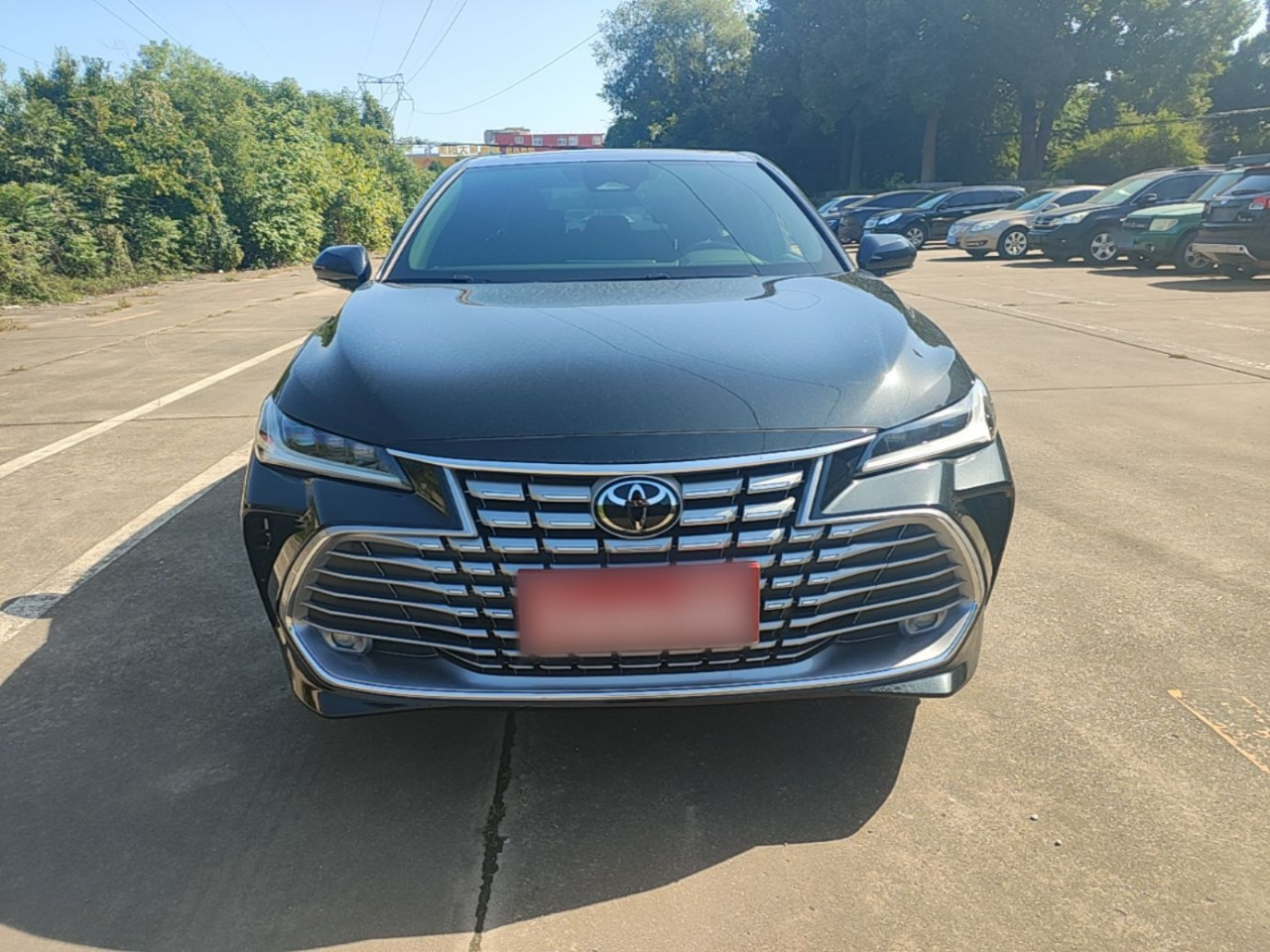 Avalon 2024 2.0L Progressive photo 2