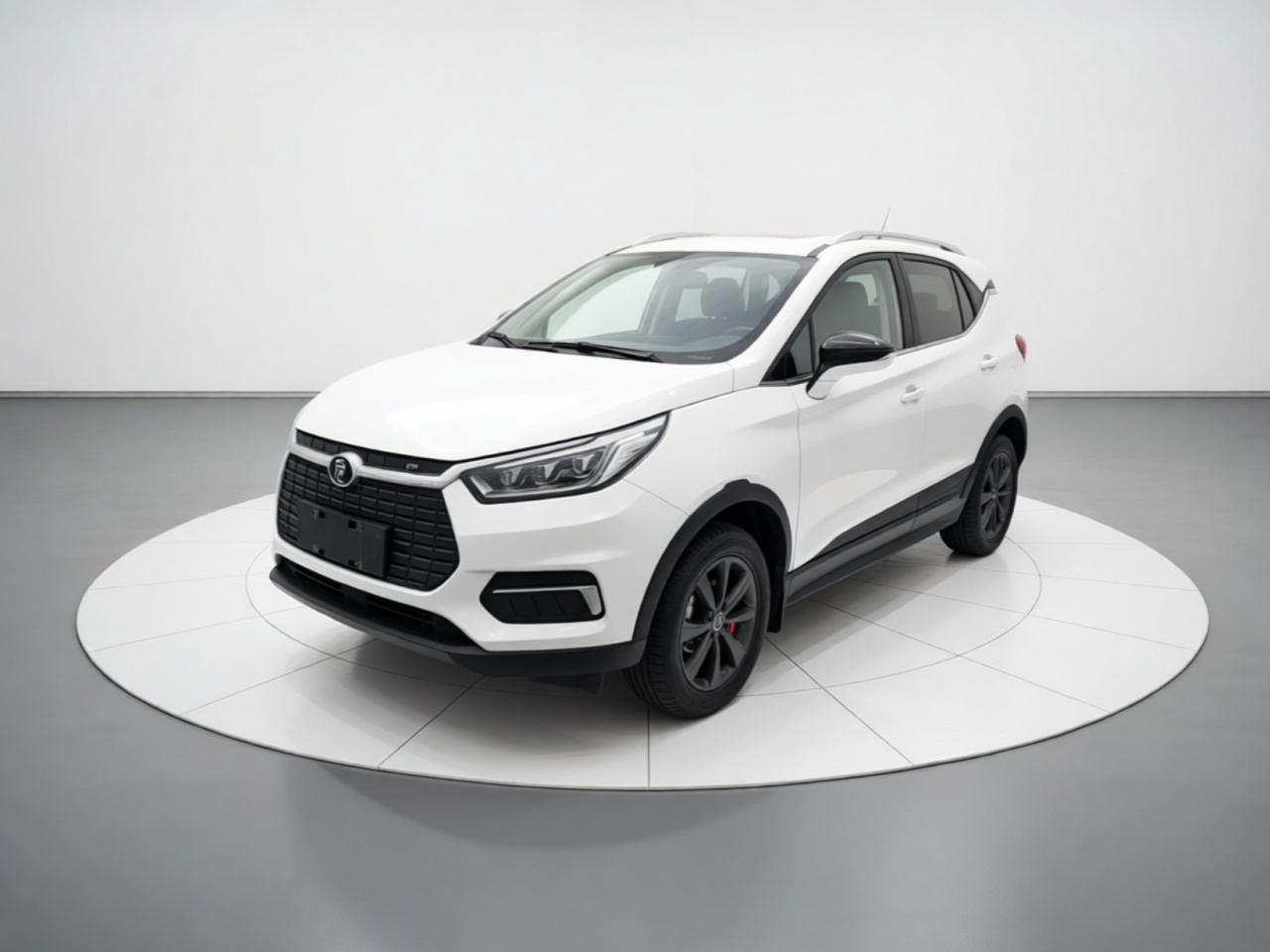 Yuan EV 2019 EV535 Connected