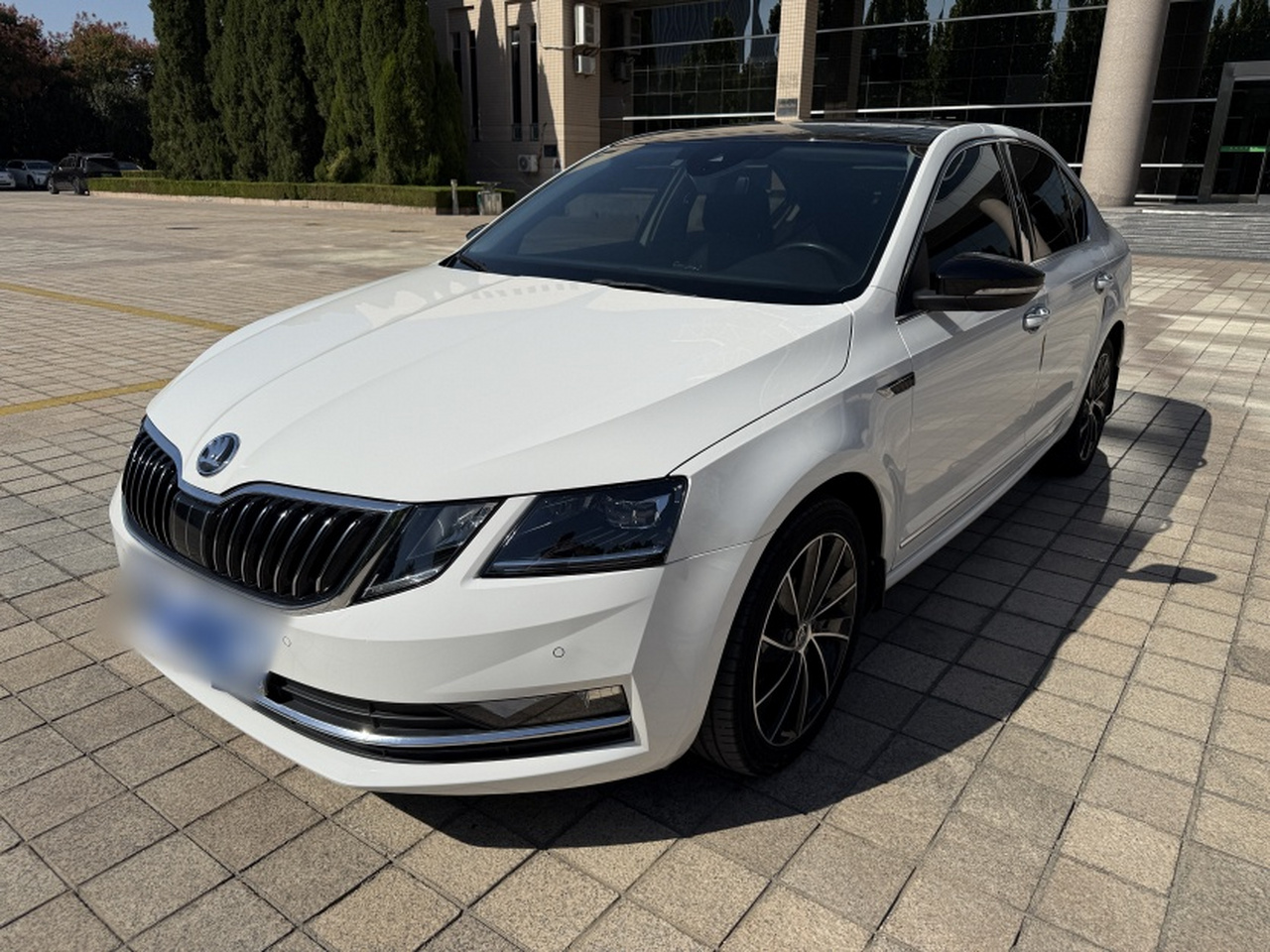 Octavia 2019 TSI280 DSG Luxury