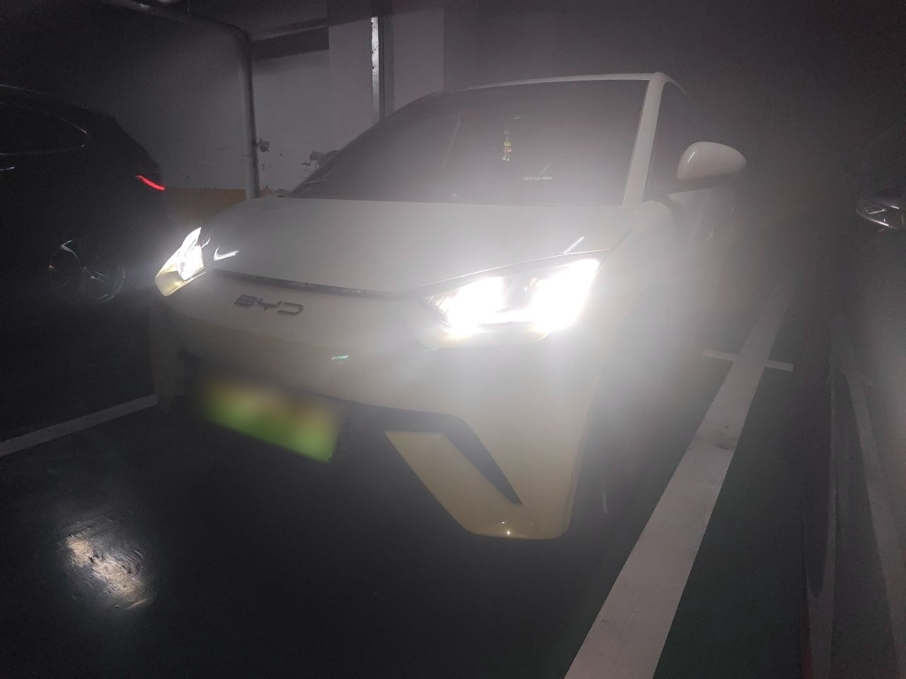 Seagull 2023
