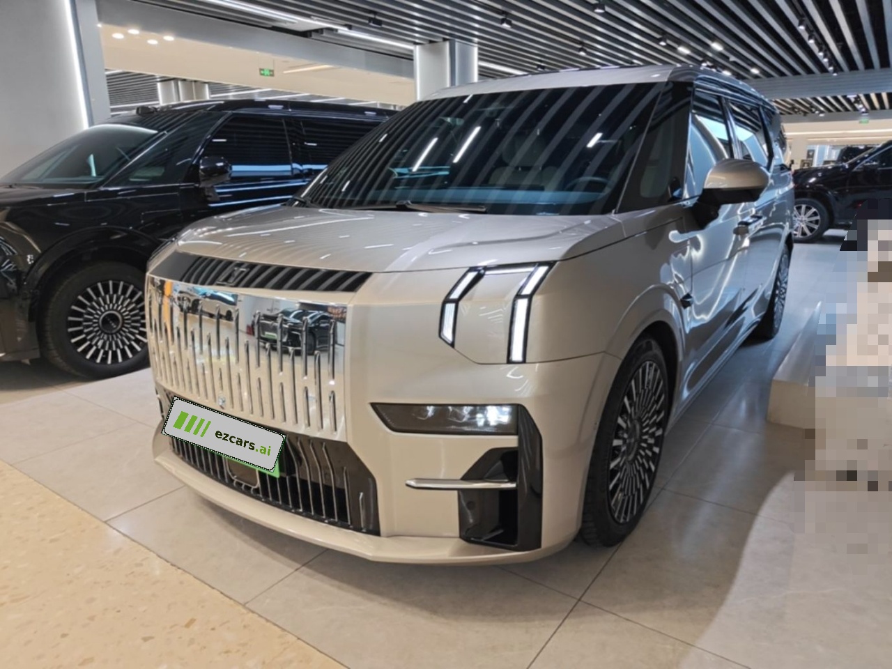 009 2022 Facelift WE