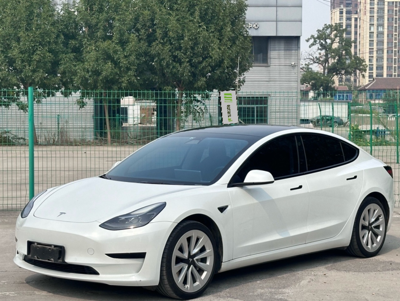 Model 3 2021 Standard Range RWD Upgraded 3D6