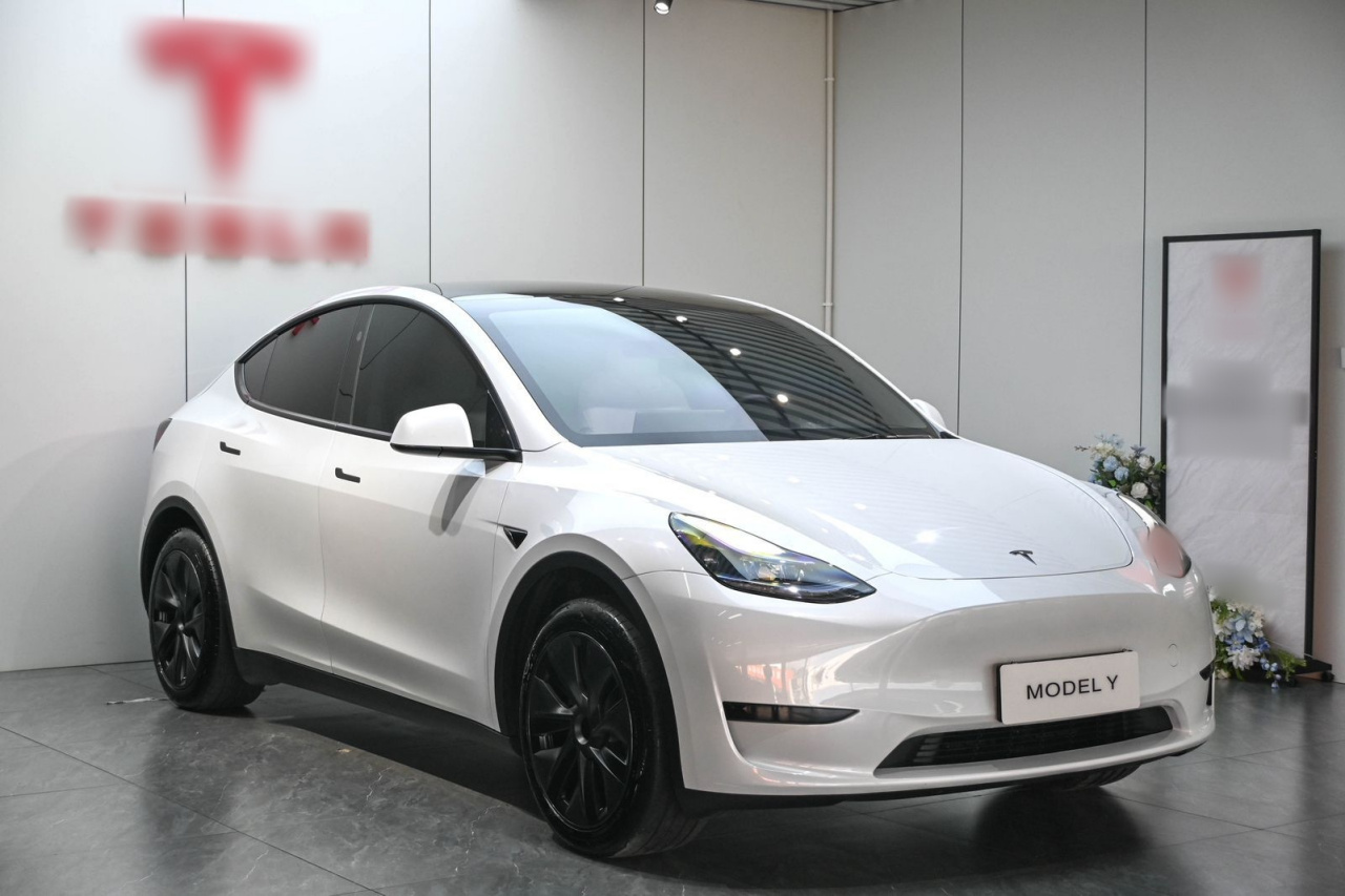 Model Y 2024 RWD photo 5
