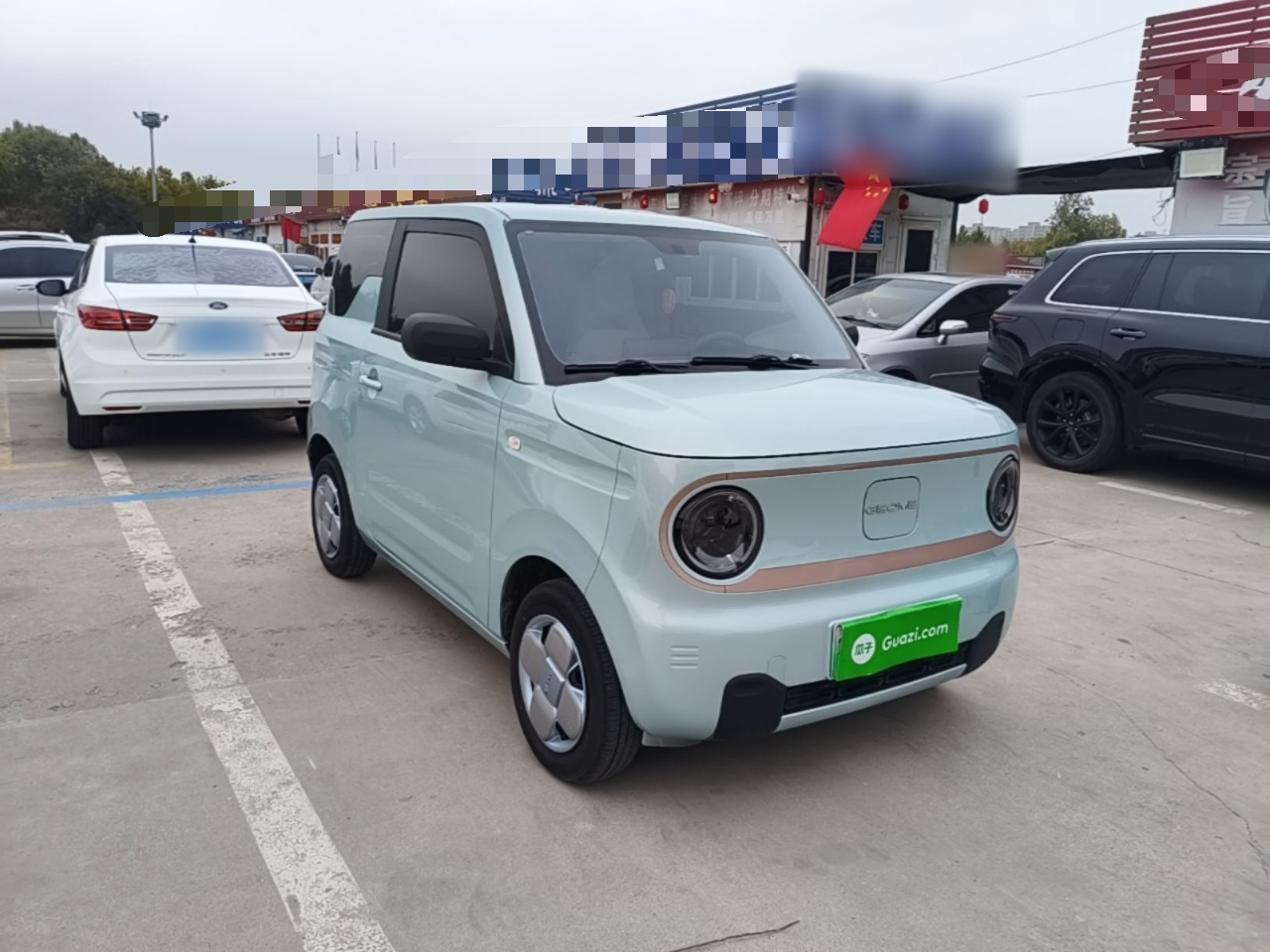 2024 Panda mini 200km Endurance Bear photo 3