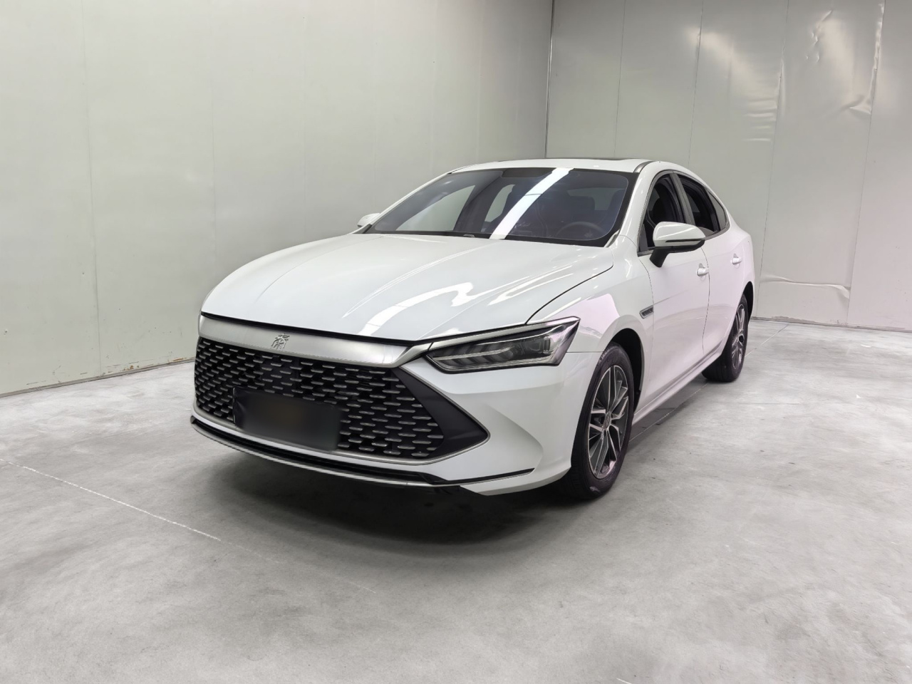 Qin PLUS 2021 DM-i 55KM Flagship