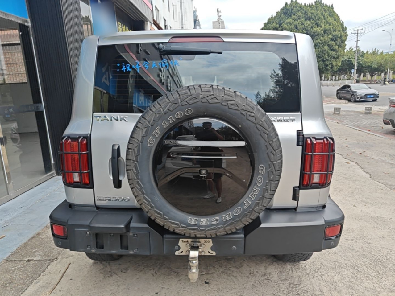 300 2023 Off-road 2.0T photo 5