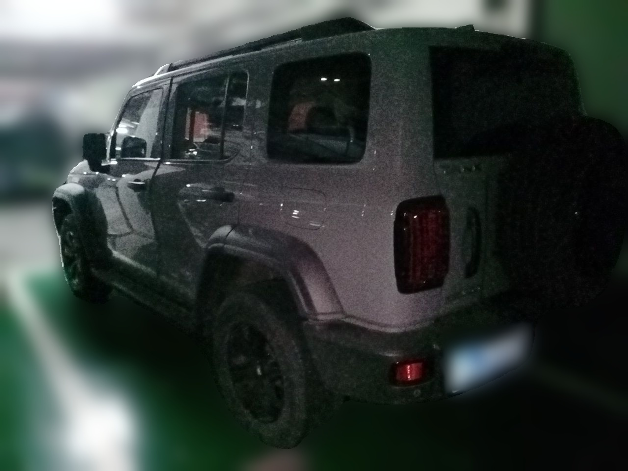 300 2021 Off-road 2.0T Conqueror photo 4