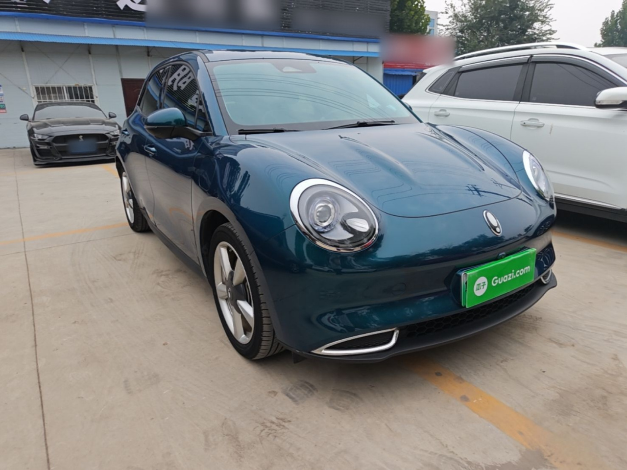 Good Cat 2023 401km Standard Range Noble LFP photo 3