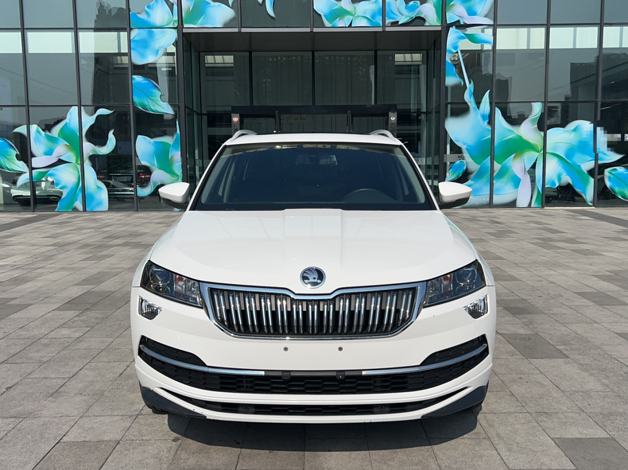 Karoq 2022 TSI280 Luxury photo 2
