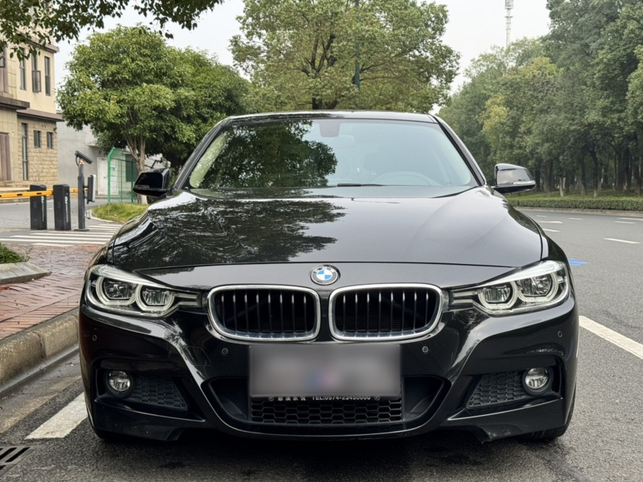 3 Series 2019 320Li M Luxury photo 2
