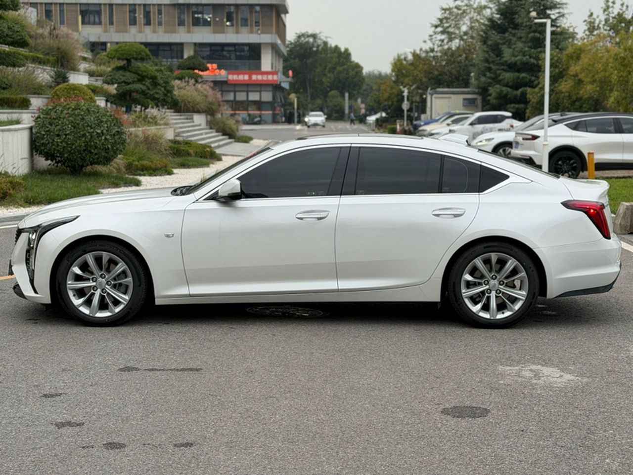 CT5 2024 28T Premium photo 5