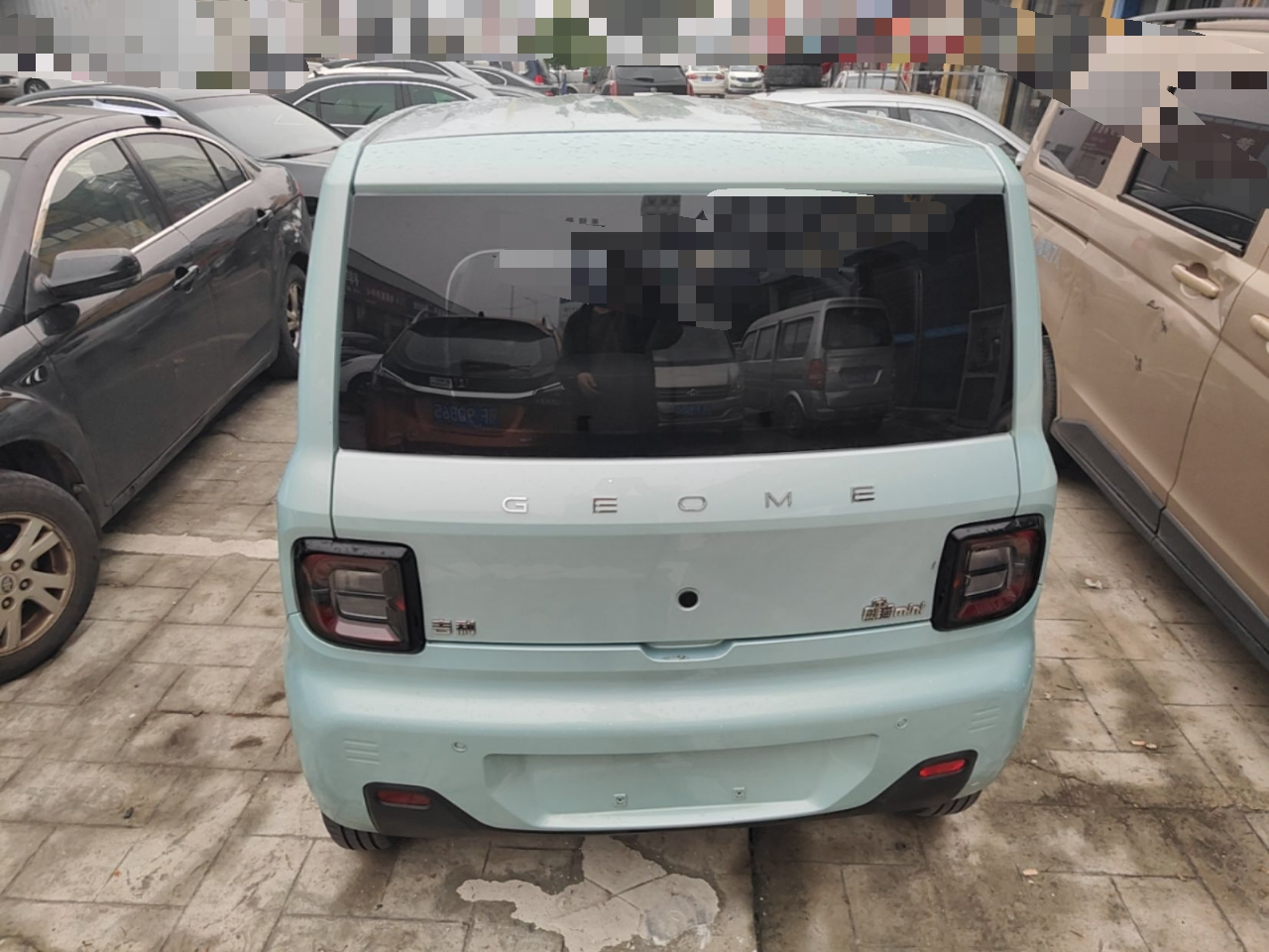2023 Panda mini 200km Endurance Bear photo 5