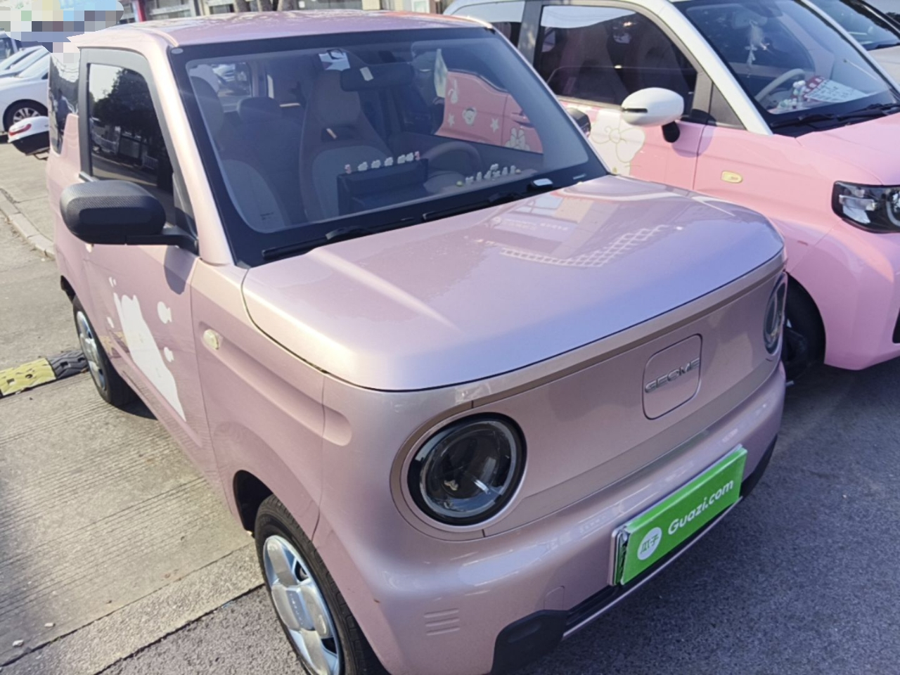 2023 Panda mini 200km Endurance Bear photo 3