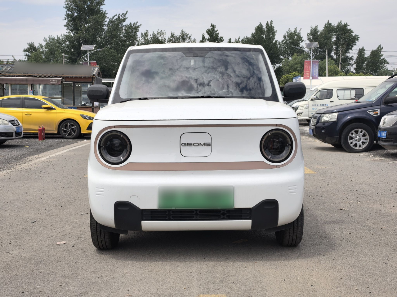 2024 Panda mini 200km Endurance Bear photo 4