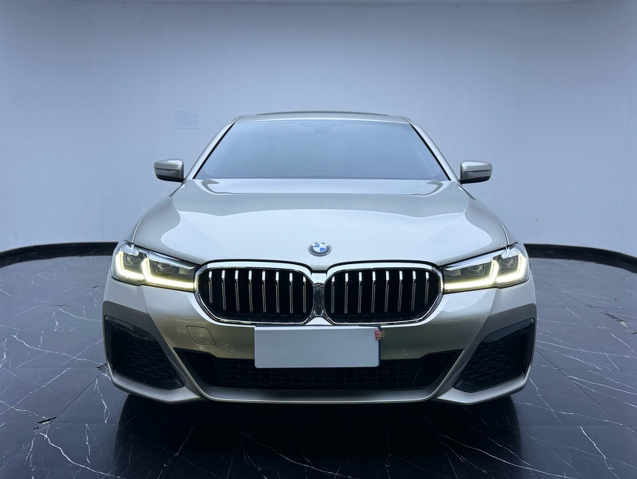 5 Series 2018 528Li Special photo 2